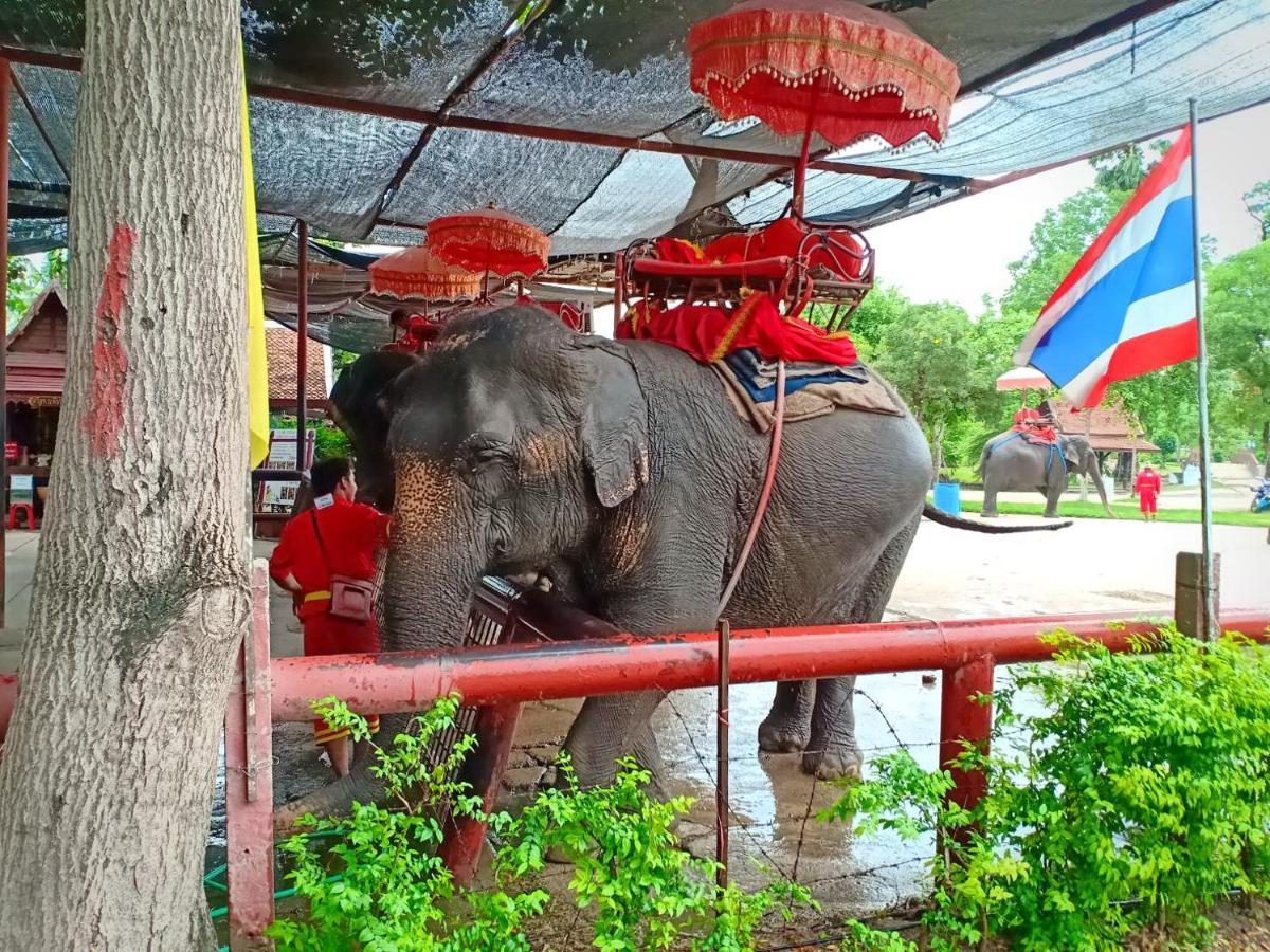 Siri Guesthouse Phra Nakhon Si Ayutthaya Exterior foto